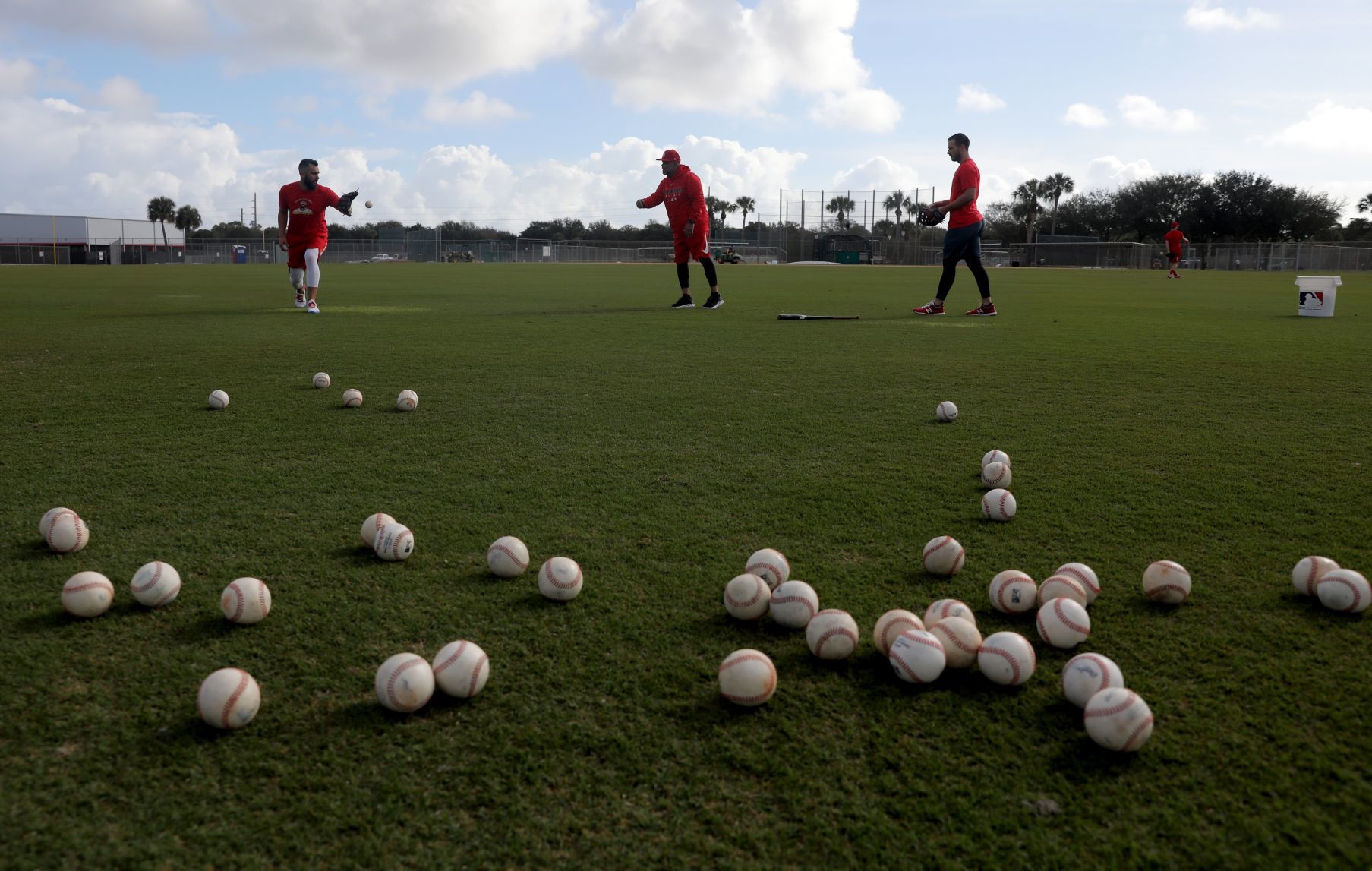 Cardinals pitchers and catchers report day